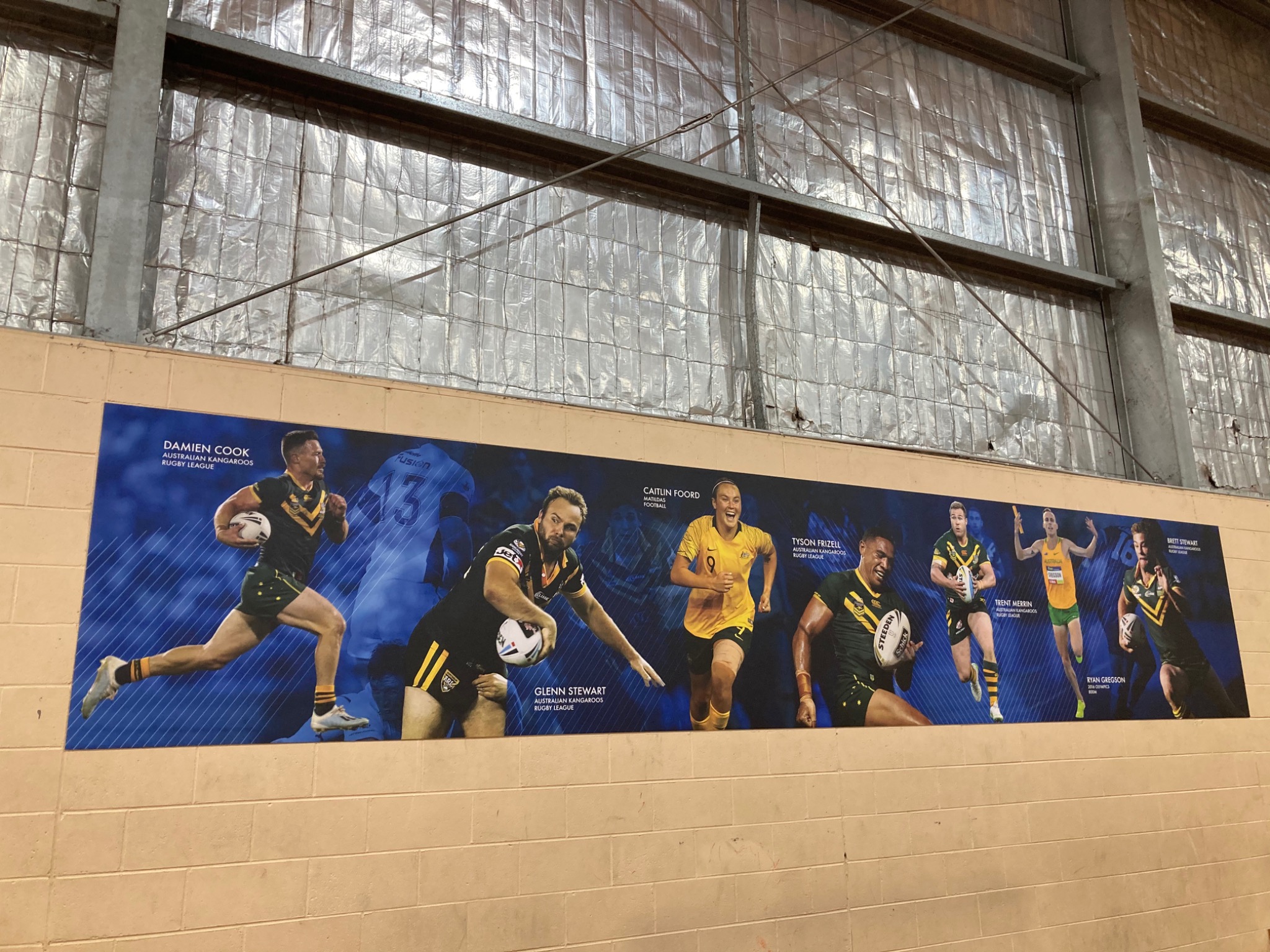 Australian sporting representatives — Illawarra Sports High School